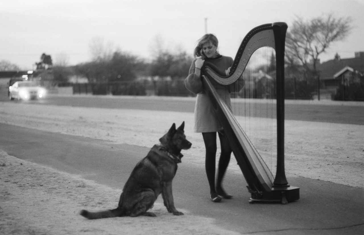 Mary Lattimore（メアリー・ラティモア）